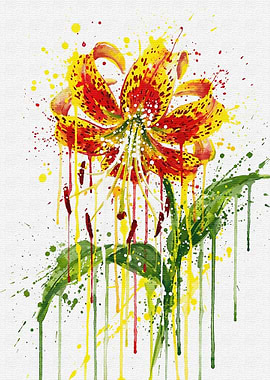 Watercolor Lily with Splatters
