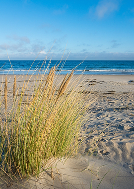 sandy beach in Glowe on Ruegen Island