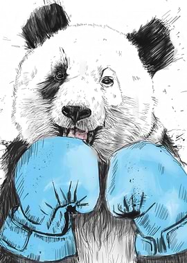 Panda Boxer with Blue Gloves
