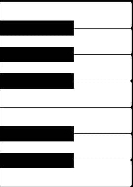 Piano Keys Black and White