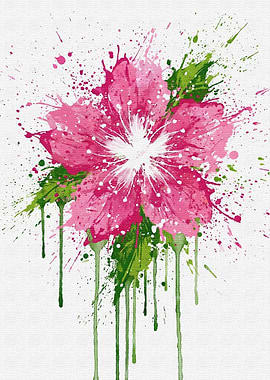 Pink Flower with Splatter Effect