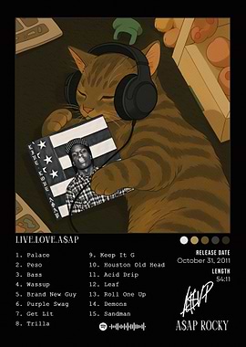 Cat listening to A$AP Rocky album