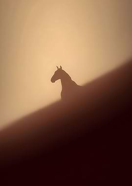 Silhouette of a Horse in Fog