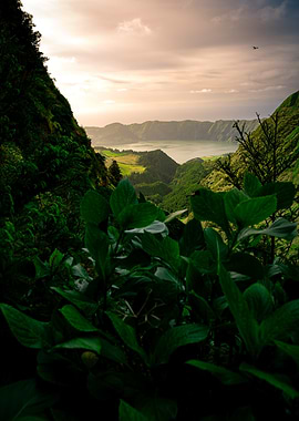 Lagoa das Sete Cidades, Azores