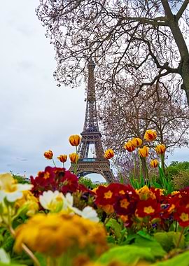Spring Time In Paris