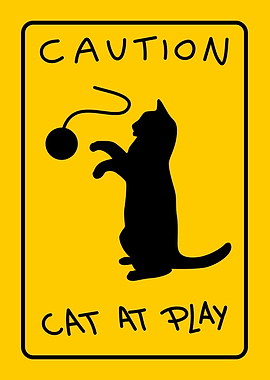 Cat at Play Sign