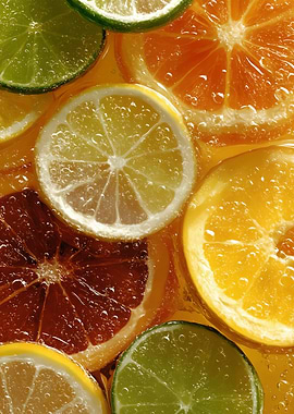 Citrus Fruit Slices in Water