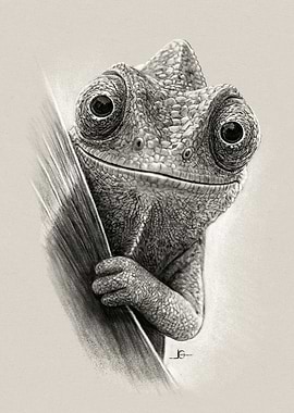 Chameleon Portrait - Detailed Pencil Drawing