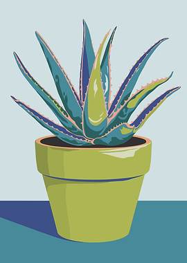 Aloe Vera Plant in Pot Illustration