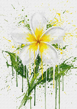 Plumeria Flower Watercolor Splatter Art