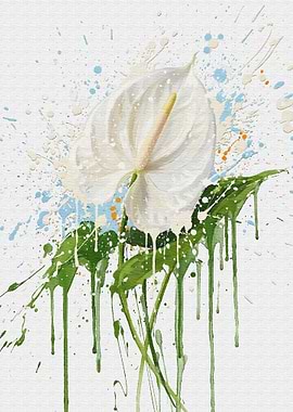White Anthurium Flower with Paint Splatters