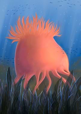 Sea Anemone Underwater Illustration