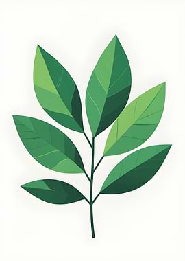 Green Leaf Branch Illustration