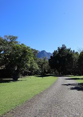Mountain View Through Park Path