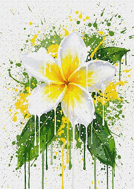 Plumeria Flower with Paint Splatter Effect