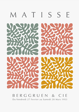 MATISSE | Coraux C34