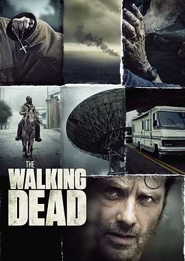 The Walking Dead Collage Poster