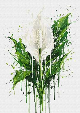Peace Lily Watercolor Painting
