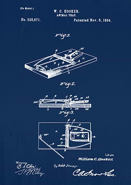 Mouse Trap 1894 Pest Control Rodent, vintage mouse trap