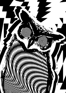 Hypnotic Owl Black and White Art