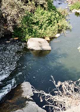 Still Waters Over Sunlit Stone