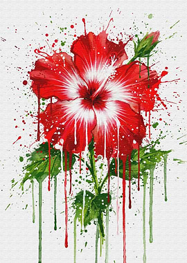 Red Hibiscus Watercolor with Splatters