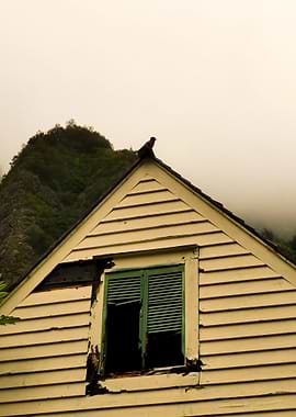 Dilapidated House with Bird on Roof