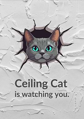 Ceiling Cat is watching you
