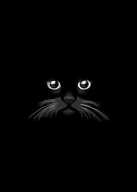 Black Cat Face in the Dark