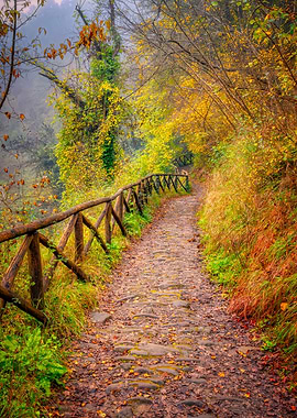 Autumn Pathway of Premilcuore Italy - Fine Art Photography
