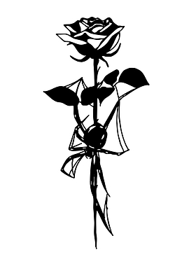 Black and White Rose with Bow