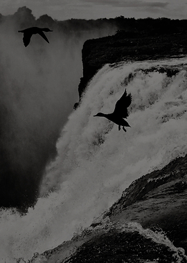 Waterfall with Birds in Flight