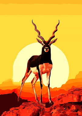 Blackbuck Antelope Silhouette Sunset Art