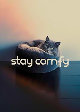 Stay Comfy