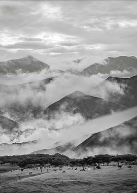 Monochrome Mountain Landscape with Mist