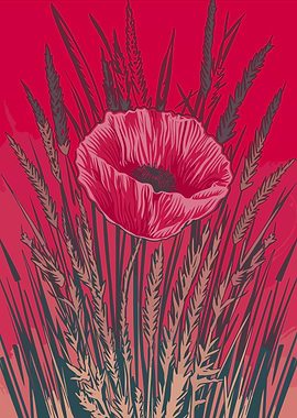 Poppy and Wheat Illustration