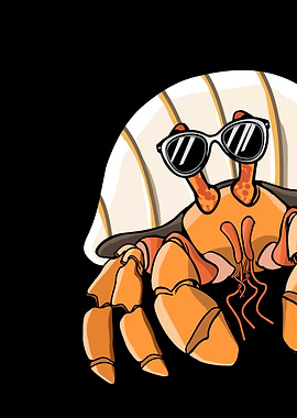 Cute Hermit Crab with Sunglasses