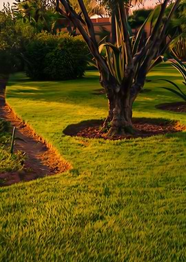 Lush Green Garden with Tree