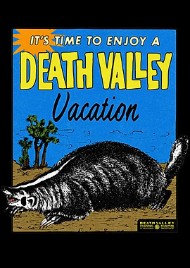 Death Valley Vacation Badger Poster
