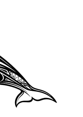 Black and White Orca Illustration 3/3