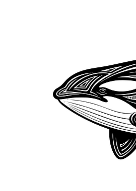 Black and White Orca Illustration 1/3
