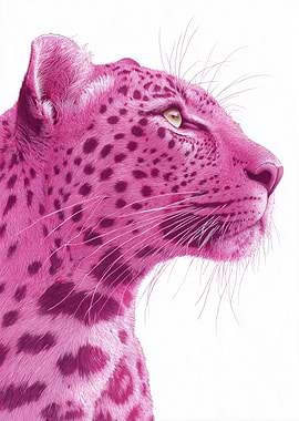 Pink Leopard Portrait