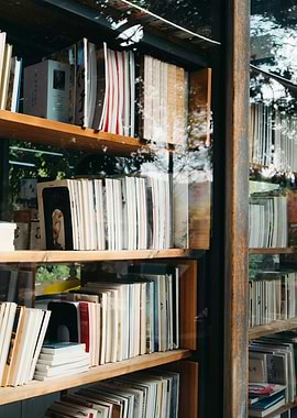 Bookshelf with books