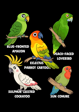 Parrot Species Bird Lover Parrot