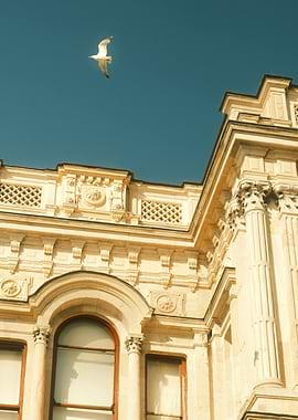 Seagull Flying Over Ornate Building