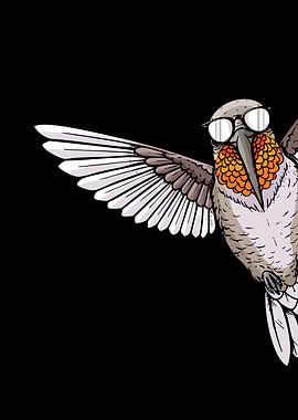 Cool Hummingbird with Sunglasses