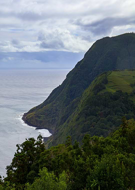 Coastal Cliffs and Ocean View