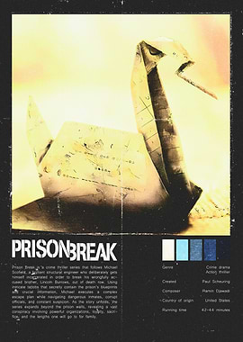 Prison Break TV Series Poster