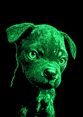 Green Puppy Portrait