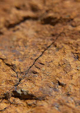 Cracked Rock Texture